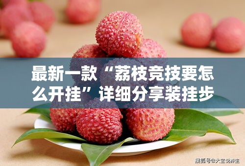最新一款“荔枝竞技要怎么开挂”详细分享装挂步骤